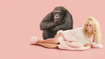 Backdrop for the TV series "Chimp Crazy" #1557097