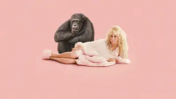 Backdrop for the TV series "Chimp Crazy" #1557099