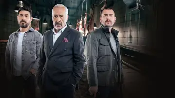 Backdrop for the TV series "The Agent" #1606058