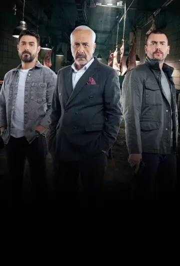 Poster for the TV series "The Agent" #1606062