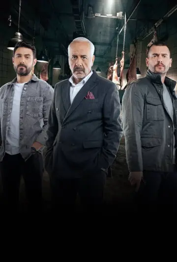 Poster for the TV series "The Agent" #1606064