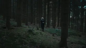 Backdrop for the TV series "Wäldern" #1673536