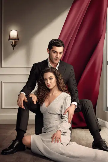 Poster for the TV series "The Nightfall" #1427685