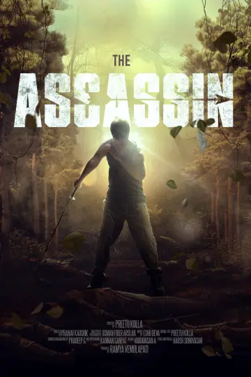 Poster for the TV series "The Assassin" #1425647