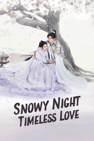 Poster for the TV series "Snowy Night Timeless Love" #1603523