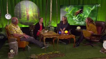 Studio Natur Poster