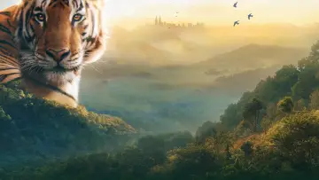 Backdrop к сериалу "Asia" #1479708