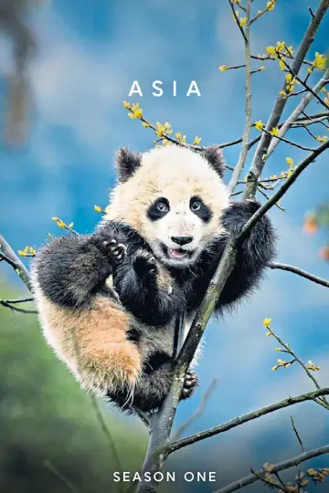 Poster for the TV series "Asia" #1774669