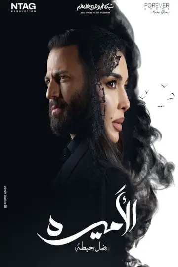 Poster for the TV series "Al-Ameera: Thill Haita" #1807415