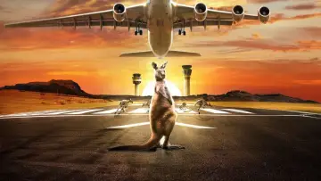 Backdrop for the TV series "Airport 24/7" #1605921