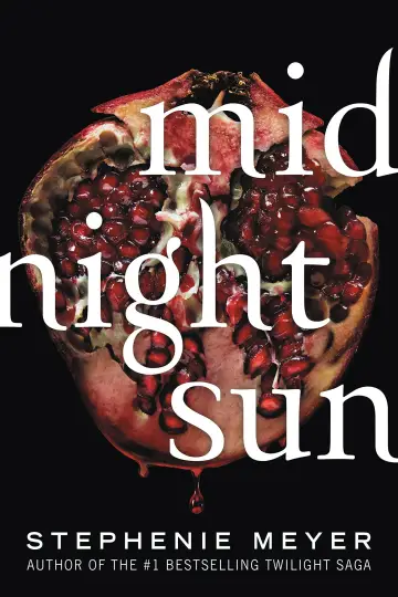 Midnight Sun Poster
