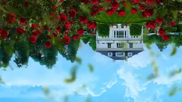 Backdrop for the TV series "Pád domu Kollerů" #1555420