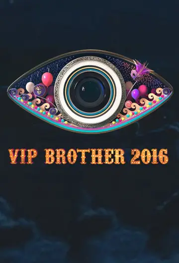 VIP Brother 2016