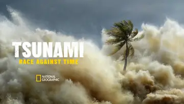 Backdrop for the TV series "Tsunami: Race Against Time" #1495135