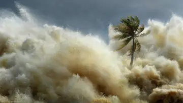 Backdrop for the TV series "Tsunami: Race Against Time" #1829704