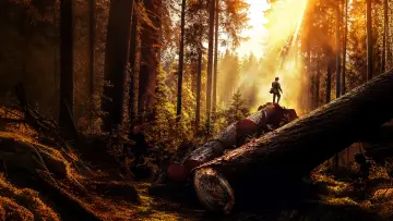 Backdrop for the TV series "The Last Woodsmen" #1477405