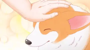 The Corgi and the Samurai Poster