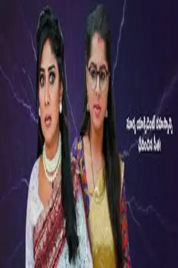 Seethe Ramudi Katnam Poster