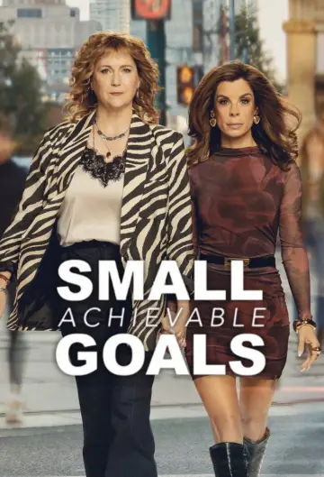 Poster for the TV series "Small Achievable Goals" #1800178