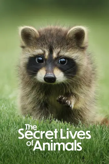 Poster for the TV series "The Secret Lives of Animals" #1490879