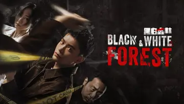 Backdrop for the TV series "Black & White Forest" #1796245