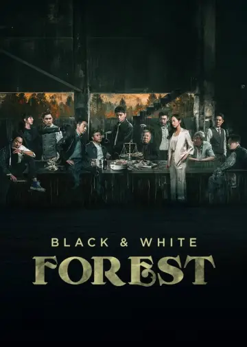 Poster for the TV series "Black & White Forest" #1796248