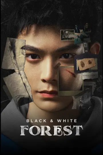 Poster for the TV series "Black & White Forest" #1796249