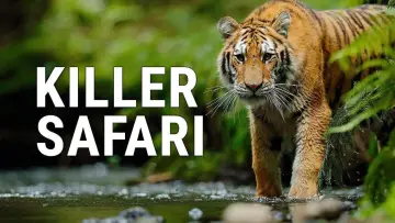 Backdrop for the TV series "Killer Safari" #1669027