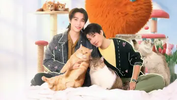 Backdrop к сериалу "Cat for Cash" #1486588