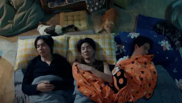 Backdrop к сериалу "Cat for Cash" #1486598