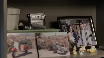 Backdrop к сериалу "Cat for Cash" #1486599