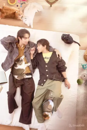 Poster к сериалу "Cat for Cash" #1486605