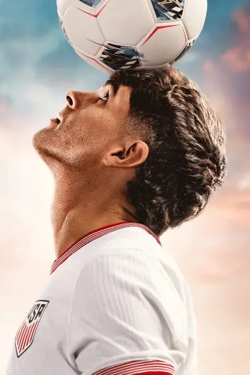 Poster for the TV series "PULISIC" #1898814