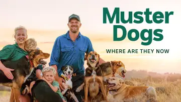Backdrop for the TV series "Muster Dogs: Where Are They Now" #1503312