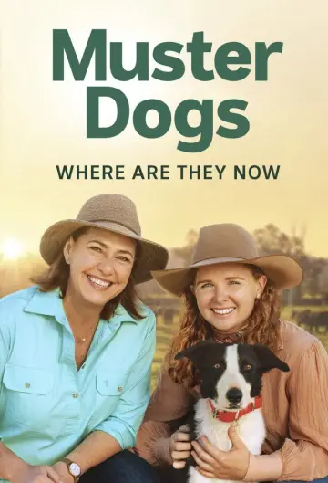 Poster for the TV series "Muster Dogs: Where Are They Now" #1503316