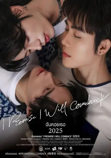 Poster for the TV series "I Promise I Will Come Back" #1550954