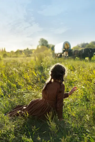 Poster for the TV series "Little House on the Prairie" #1379420