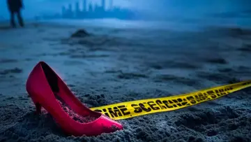 Backdrop for the TV series "Gone Girls: The Long Island Serial Killer" #1489871