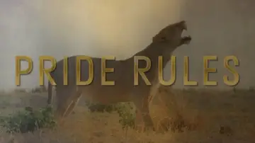 Backdrop for the TV series "Pride Rules" #1500746