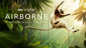 Backdrop for the TV series "Airborne" #1697298