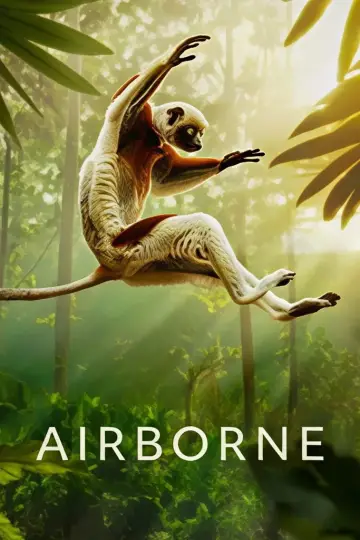 Poster for the TV series "Airborne" #1697301