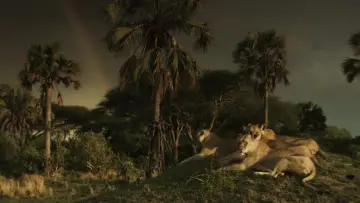 Backdrop for the TV series "Katavi Africa
