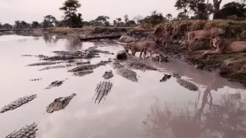 Backdrop for the TV series "Katavi Africa