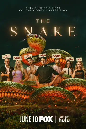 Poster к сериалу "The Snake" #1506865