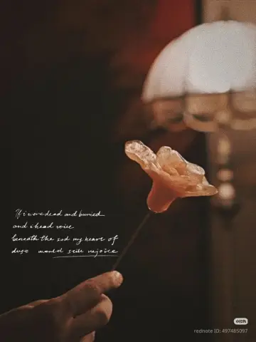 Poster for the TV series "Revenged Love" #1784589