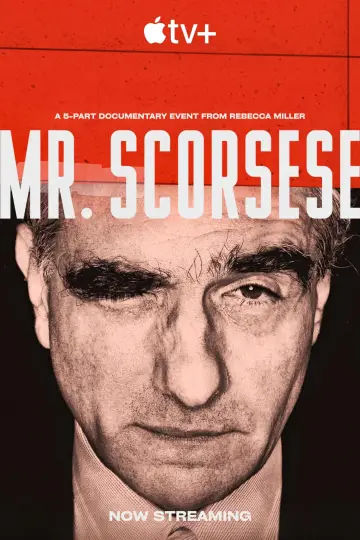 Poster for the TV series "Mr. Scorsese" #1424955