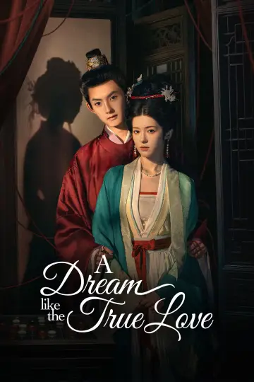 Poster for the TV series "A Dream Like the True Love" #1846764