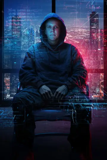 Poster for the TV series "Most Wanted: Teen Hacker" #1505748