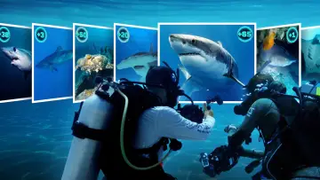 Backdrop for the TV series "All the Sharks" #1556483