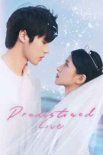 Predestined Love Poster